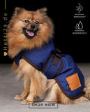 Der HV POLO Hundemantel "Max" in Blau mit der Artikelnummer 3404093516-5001 ist ein praktisches und modisches Accessoire für Ihren vierbeinigen Freund. Dieser Mantel hält Ihren Hund warm und trocken, insbesondere in kalten oder regnerischen Wetterbedingungen. Sein schickes Design in Blau verleiht Ihrem Hund nicht nur Wärme, sondern auch Stil. Dieser Hundemantel ist auf www.Hotti24.de erhältlich.