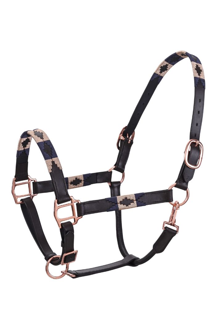 HV Polo Lederhalfter HVPChaya Schwarz/Gold
