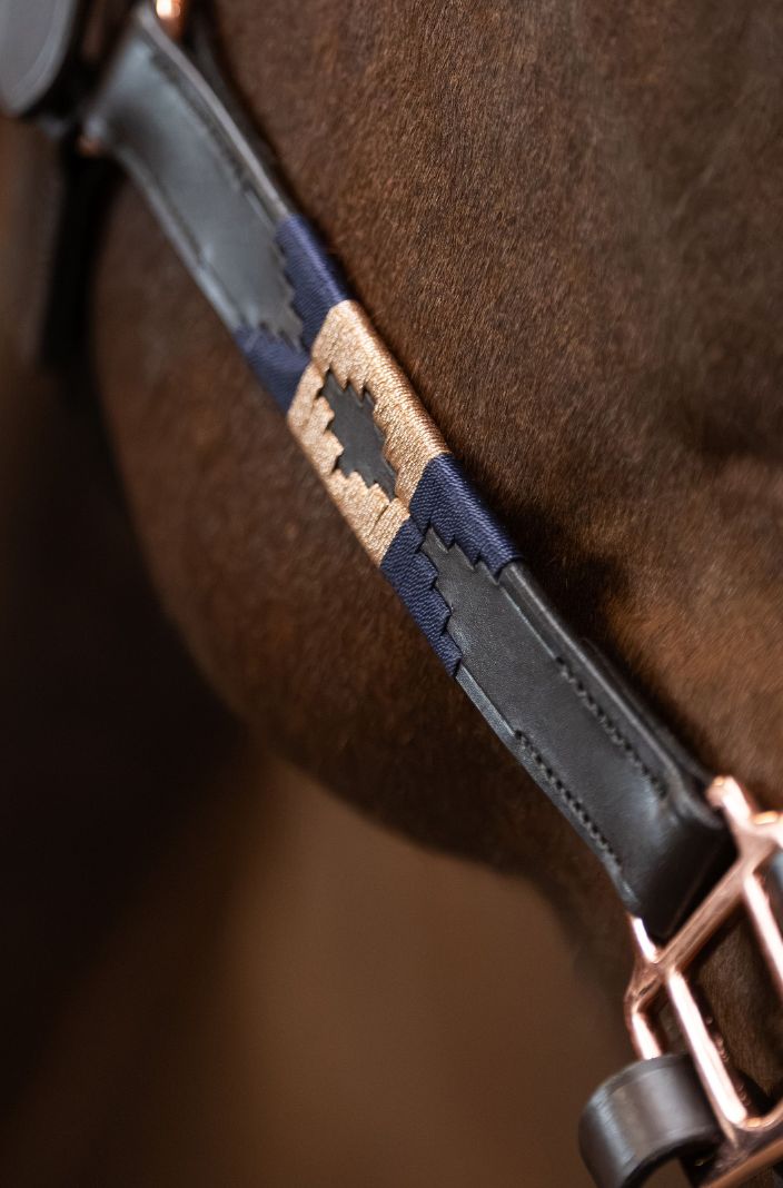 HV Polo Lederhalfter HVPChaya Schwarz/Gold
