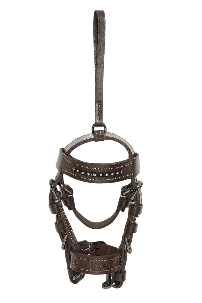 hv-polo-mini-deko-trense-hvplegacy-almond-3404493750-8031-kaufen-www.hotti24.de