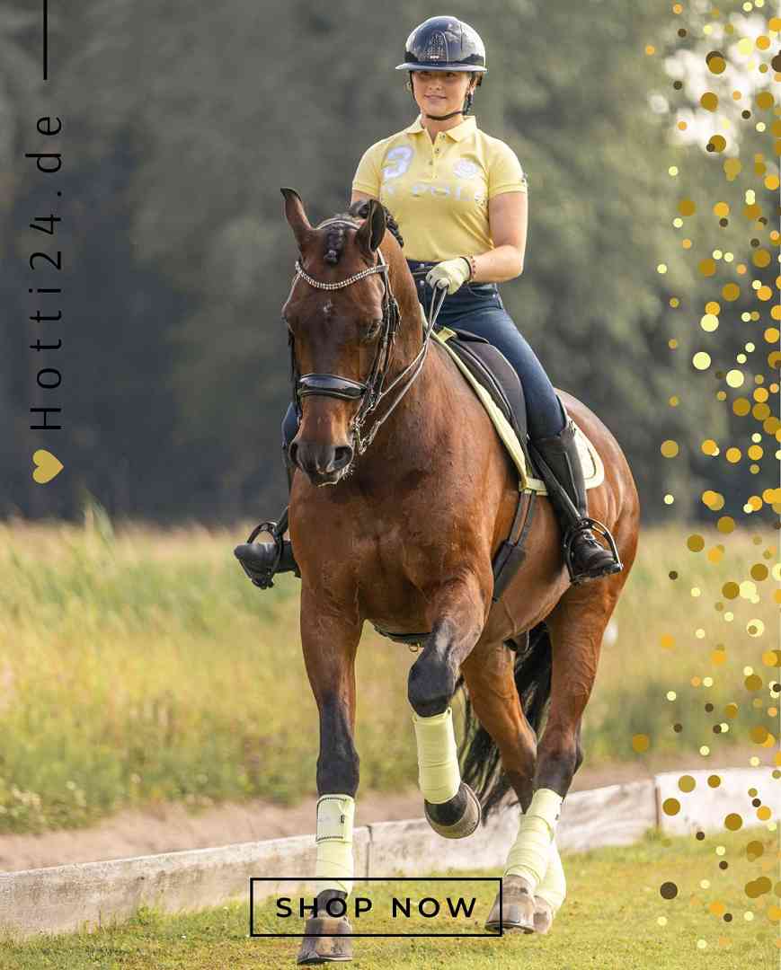 HV POLO »Wickelbandagen HVPClassic 4er Set Lemon