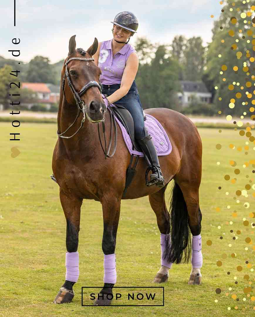HV POLO »Wickelbandagen HVPClassic 4er Set Violet