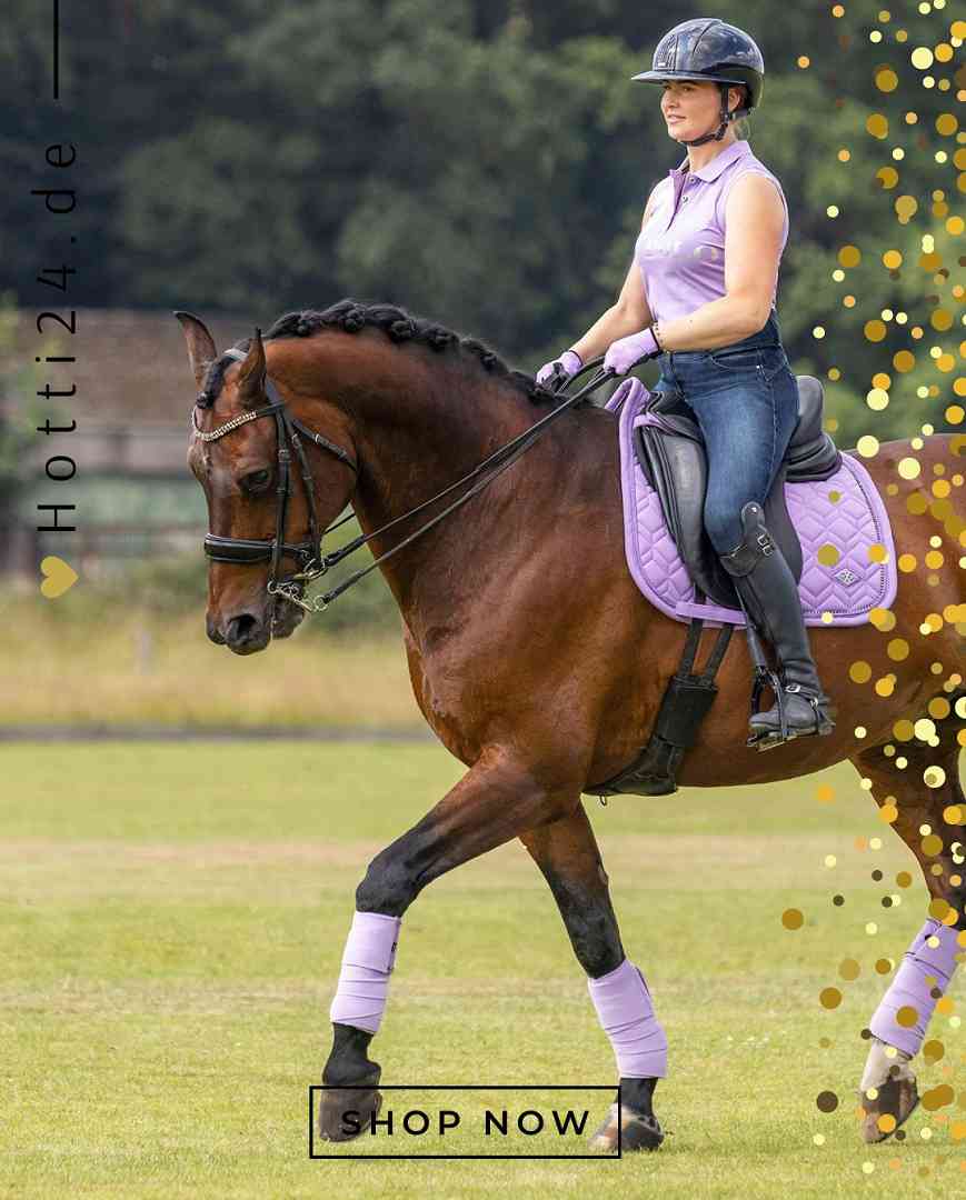 HV POLO »Wickelbandagen HVPClassic 4er Set Violet
