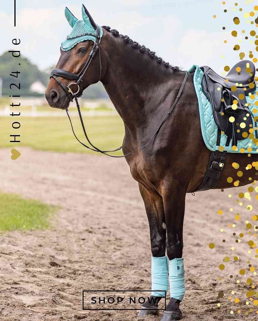 HV POLO »Wickelbandagen HVPClassic 4er Set Tiffany