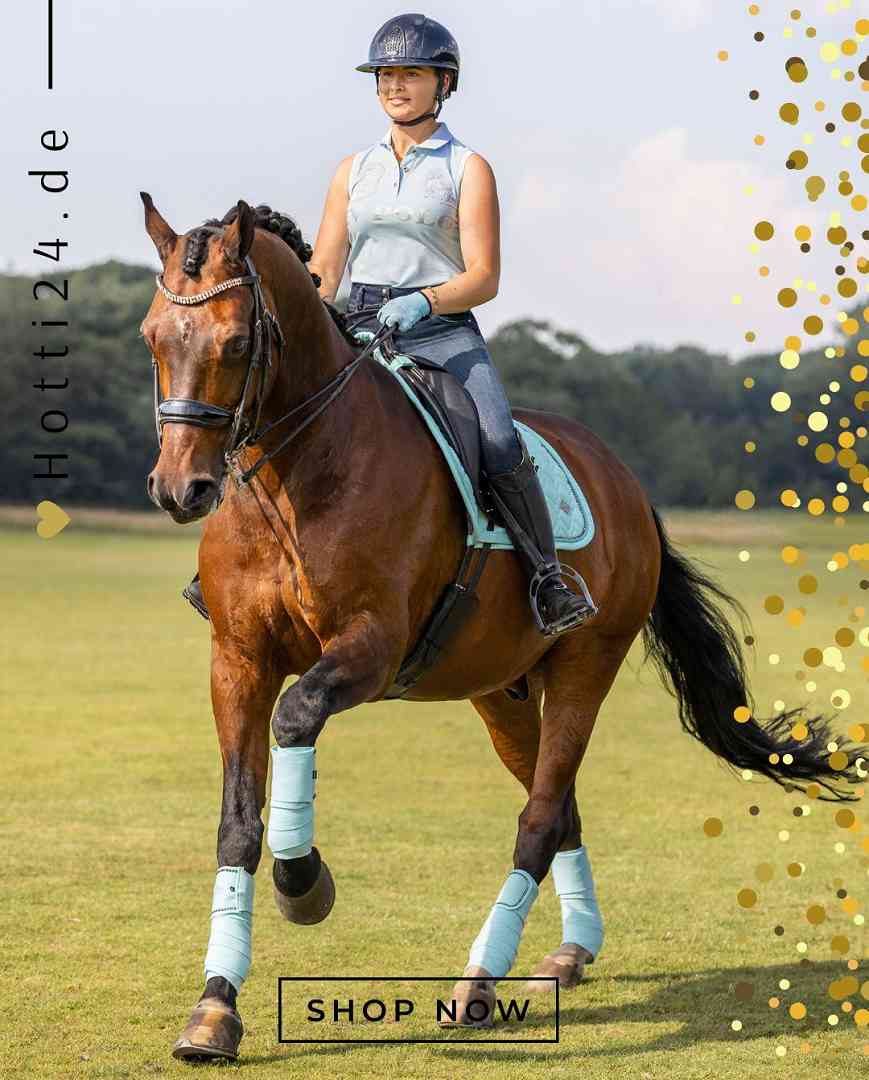 HV POLO »Wickelbandagen HVPClassic 4er Set Tiffany
