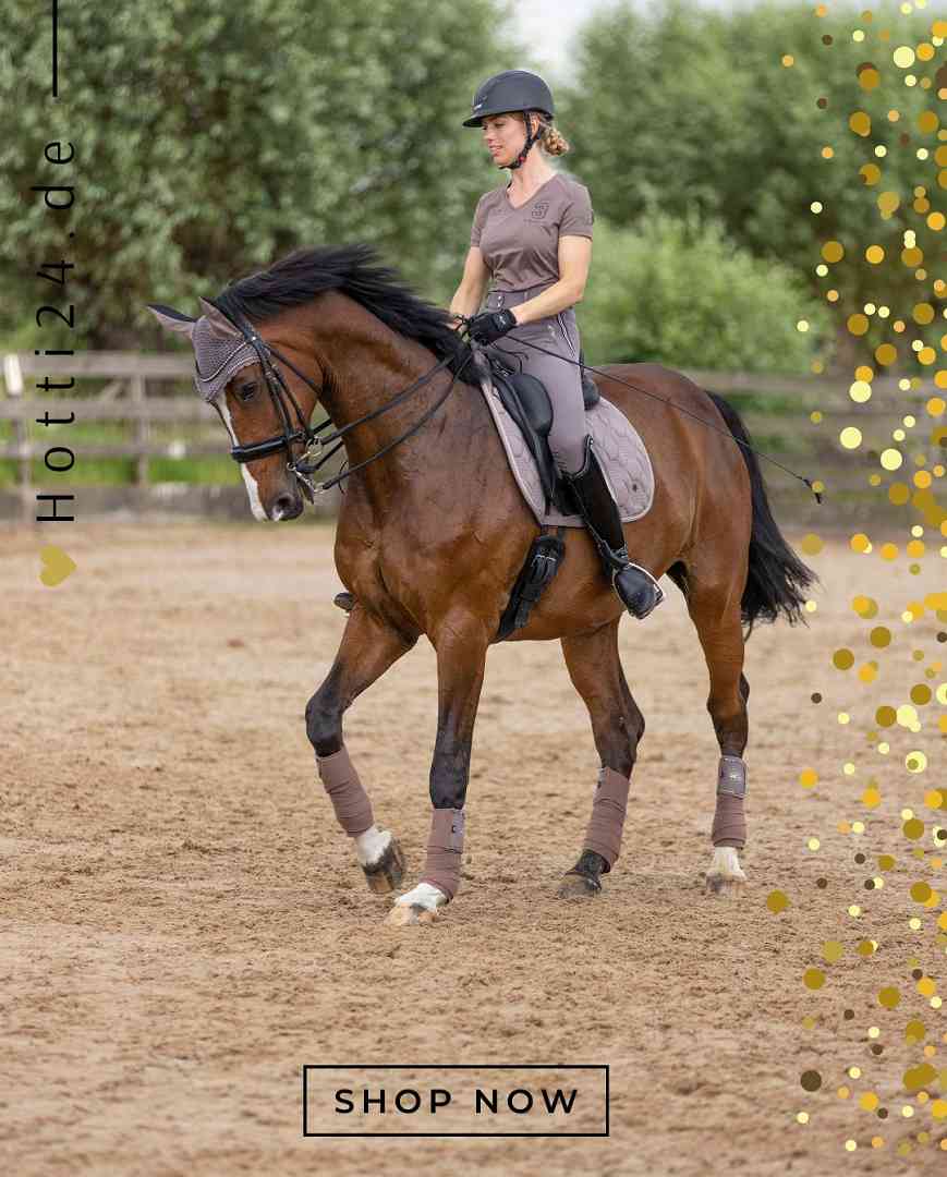 HV POLO »Wickelbandagen HVPClassic 4er Set Espresso