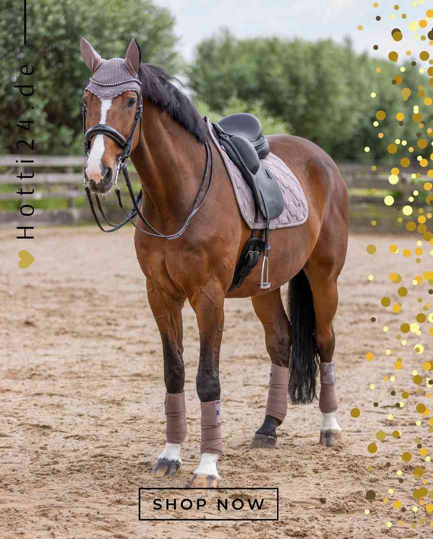 HV POLO »Wickelbandagen HVPClassic 4er Set Espresso
