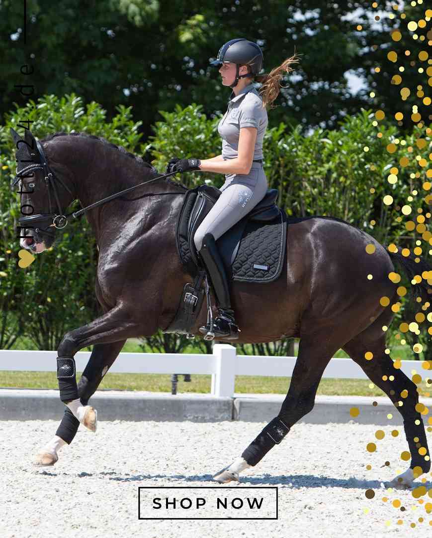 HV POLO »Wickelbandagen HVPClassic 4er Set Black
