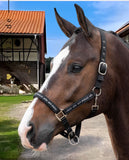hv-polo-pferde-halfter-hvpnena-1601093600-9000-schwarz-kaufen-www.hotti24.de