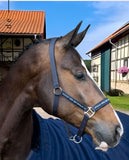 hv-polo-pferde-halfter-hvpnena-1601093600-5001-blau-kaufen-www.hotti24.de