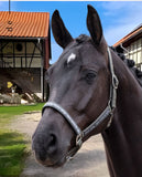 hv-polo-pferde-halfter-hvpnena-1601093600-6120-green-kaufen-www.hotti24.de