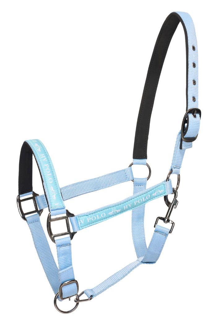 hv-polo-pferde-halfter-hvpnena-powder-blue