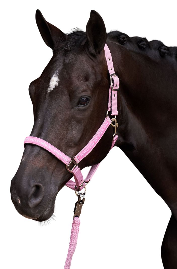 HV Polo Halfter HVPNena Pretty Pink
