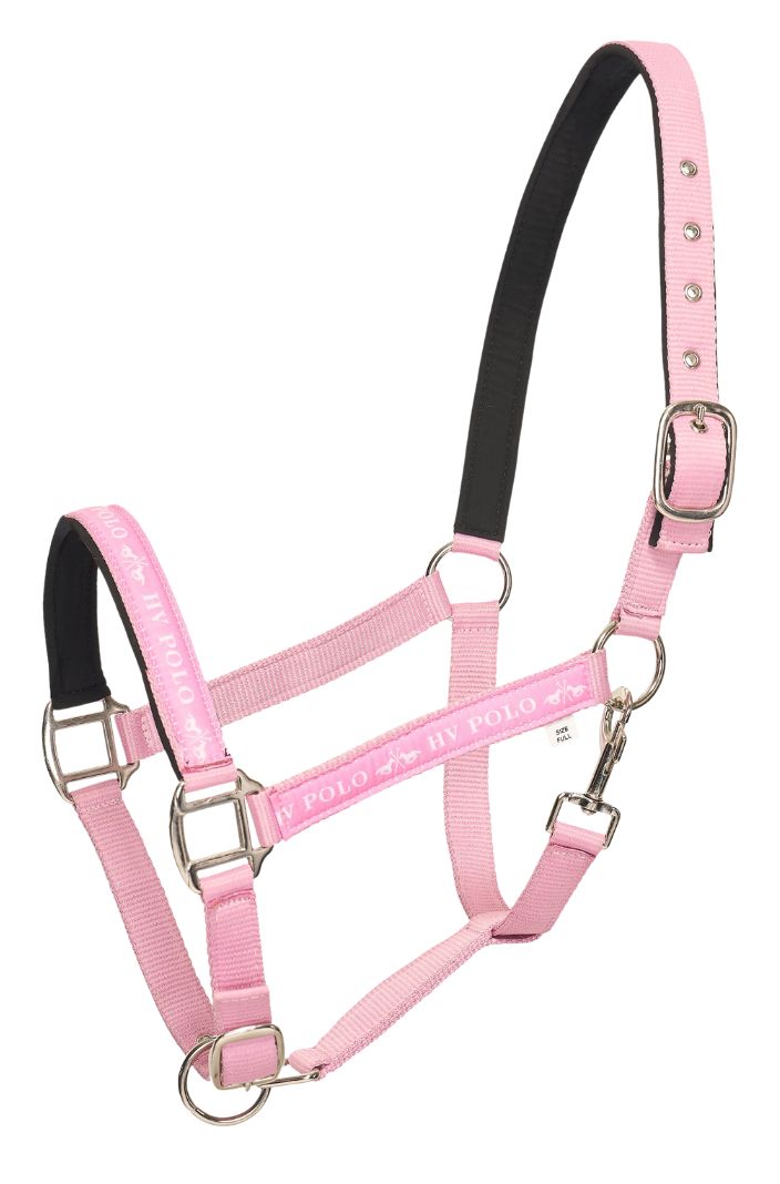 hv-polo-pferde-halfter-hvpnena-pretty-pink