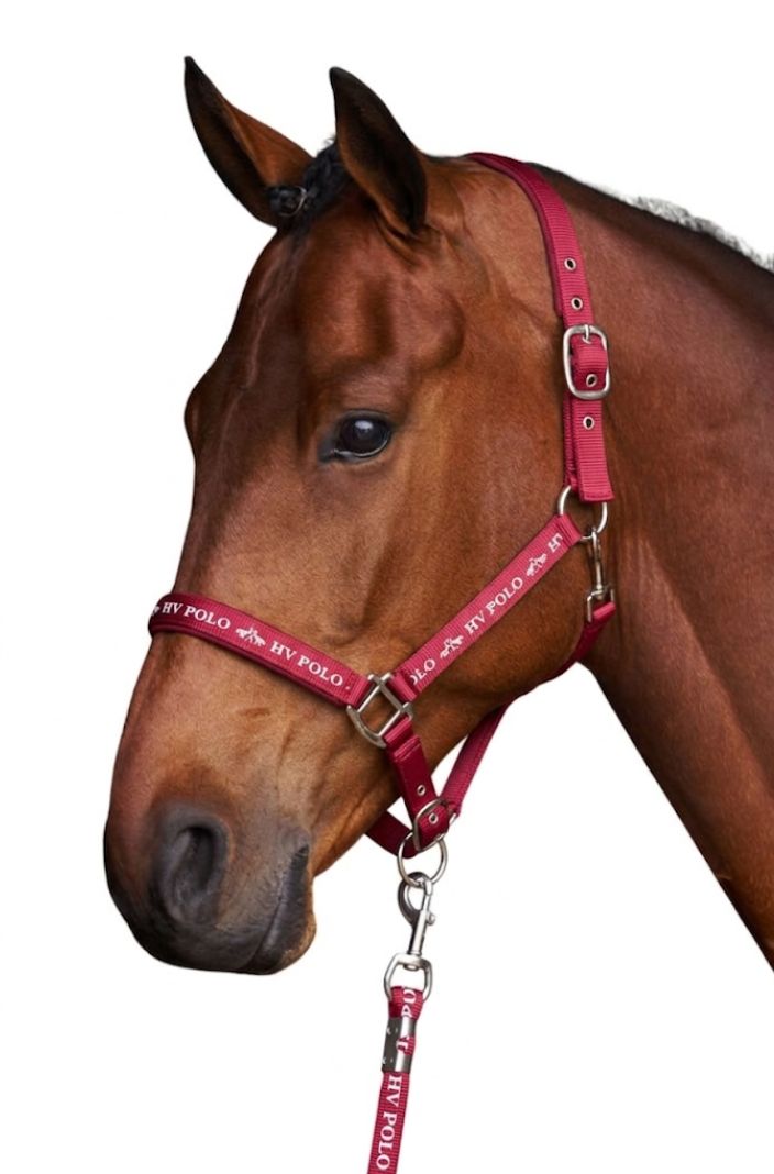 HV Polo Halfter HVPNena Redrose