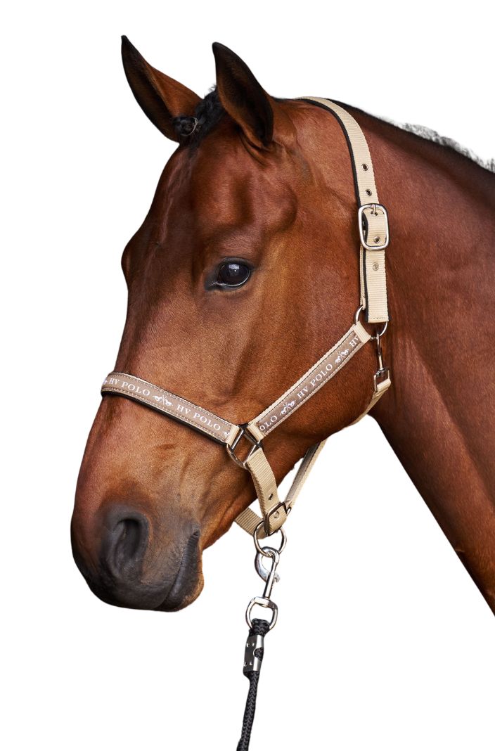 HV Polo Halfter HVPNena Tan
