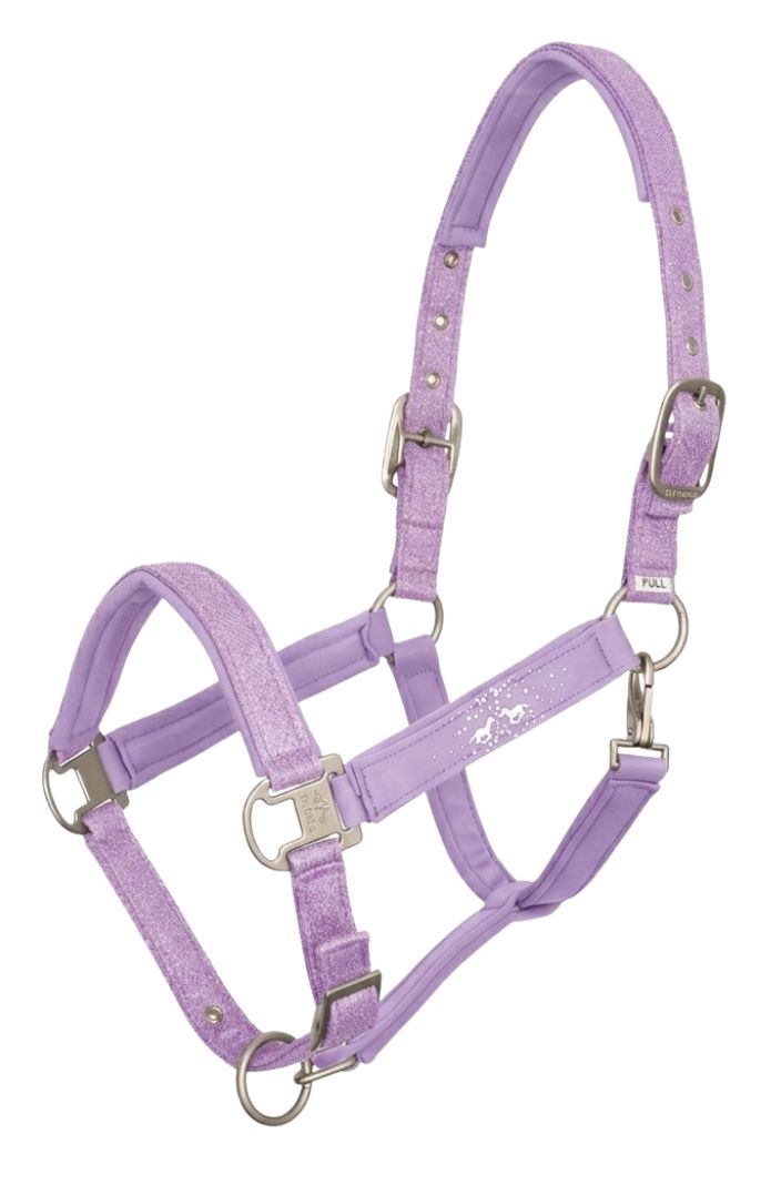hv-polo-pferde-halfter-hvpskye-violett