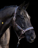 Das HV Polo Pferdehalfter aus Leder in Braun (Farbcode 1601093508-8000) mit dem Namen "Iconic" ist auf der Webseite www.hotti24.de erhältlich. 