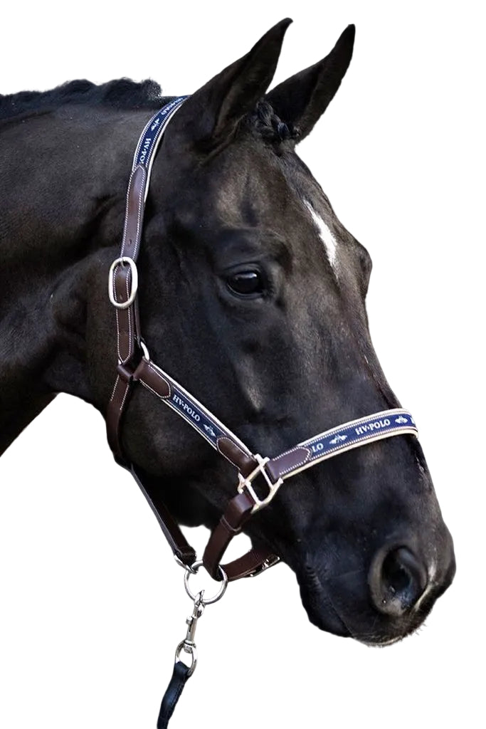 Das HV Polo Pferdehalfter aus Leder in Braun