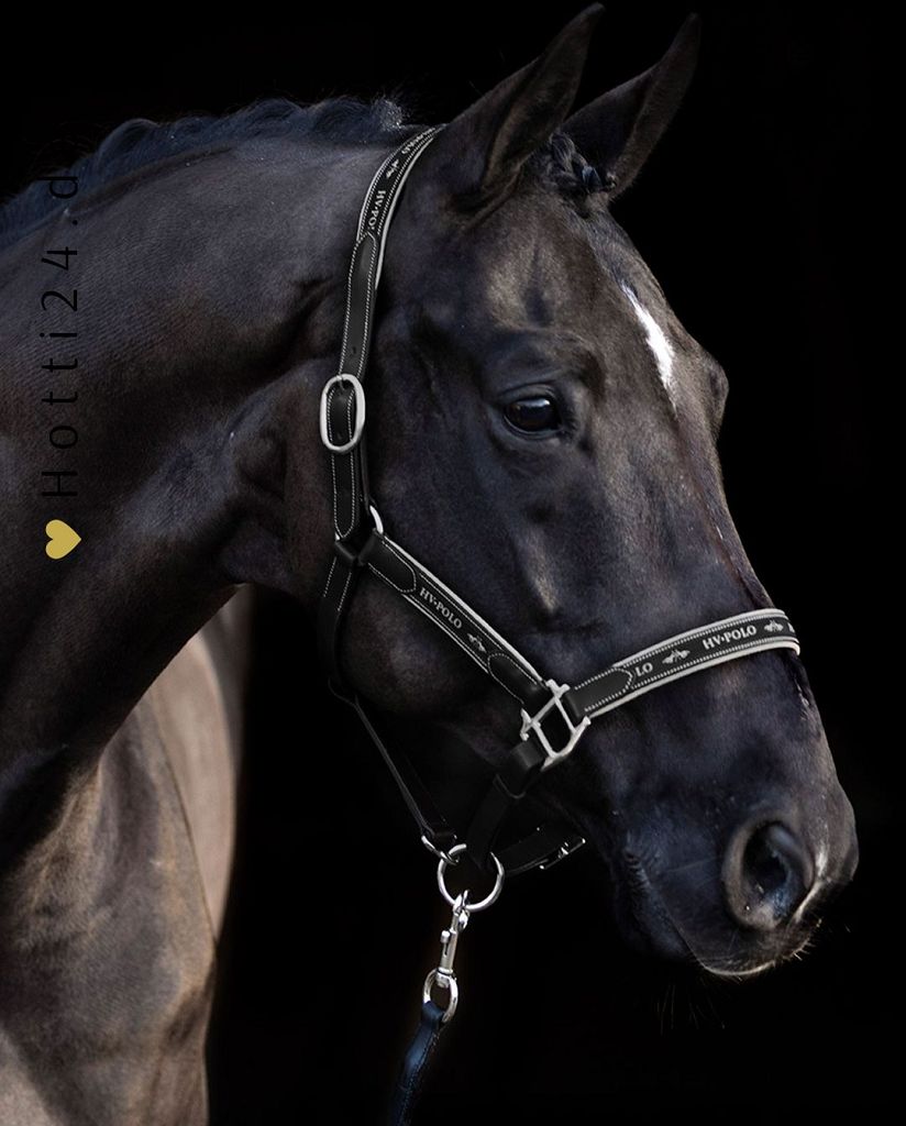 Das HV Polo Pferdehalfter aus Leder in Schwarz (ArtikelNr. 1601093508-9000) mit dem Namen "Iconic" ist auf der Webseite www.hotti24.de erhältlich. 
