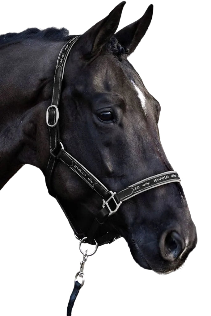 Das HV Polo Pferdehalfter aus Leder in Schwarz
