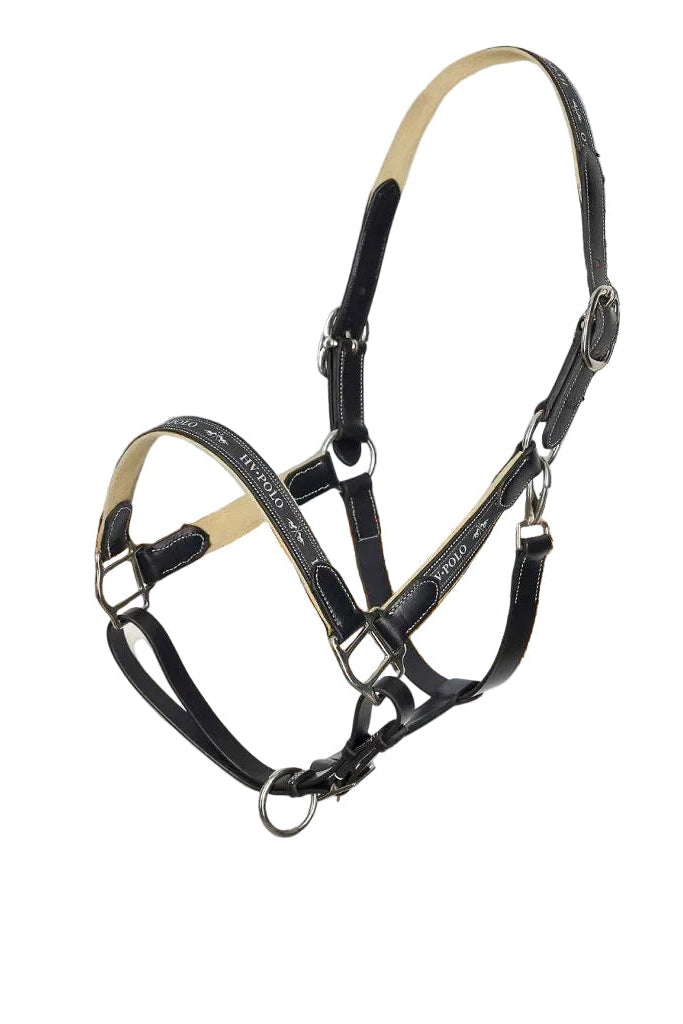 Das HV Polo Pferdehalfter aus Leder in Schwarz