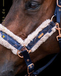 HV POLO »Pferde Halfter HVPWelmoed Shine
