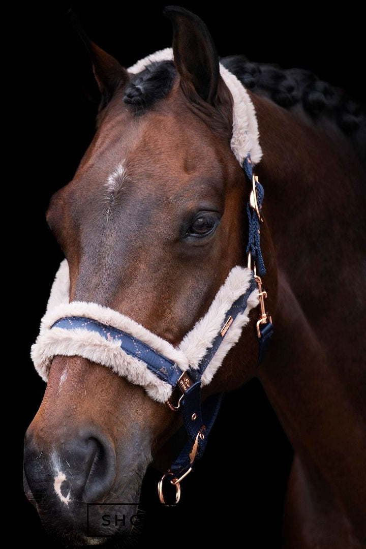 HV POLO Pferde Halfter "Welmoed Shine" in der Farbe Blau erwerben.