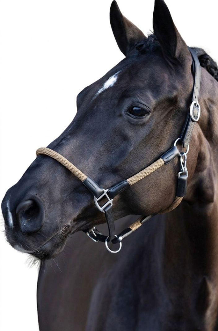 HV Polo Lederhalfter Seilhalfter HVPFranka Tan