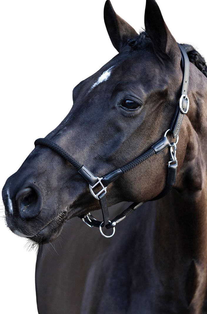 HV Polo Lederhalfter Seilhalfter HVPFranka Black
