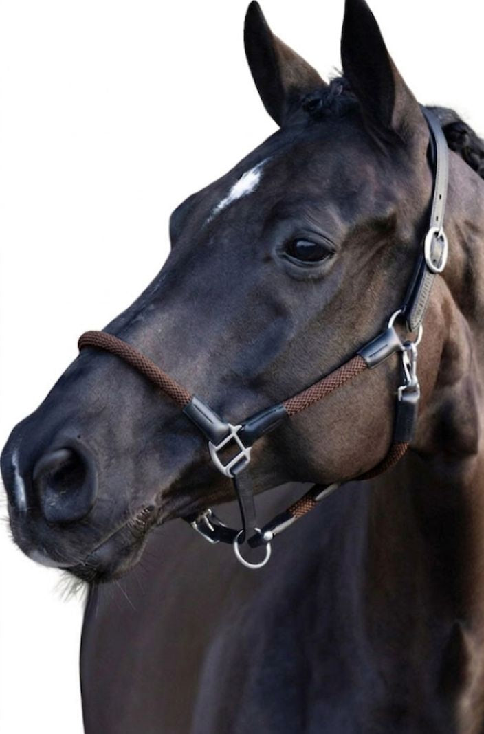 HV Polo Lederhalfter Seilhalfter HVPFranka Brown