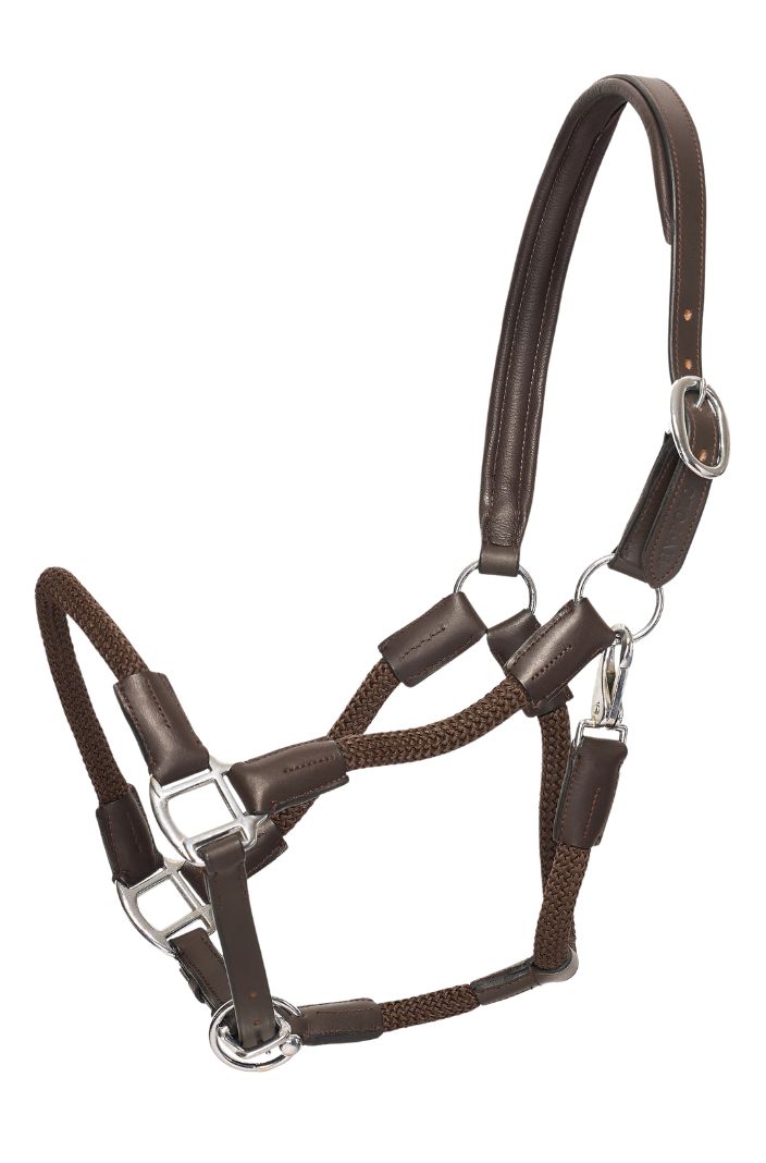 hv-polo-pferde-lederhalfter-seilhalfter-hvpfranka-brown
