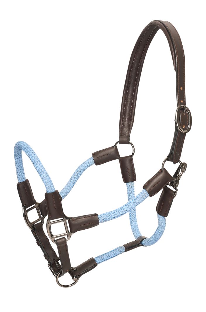 hv-polo-pferde-lederhalfter-seilhalfter-hvpfranka-powder-blue