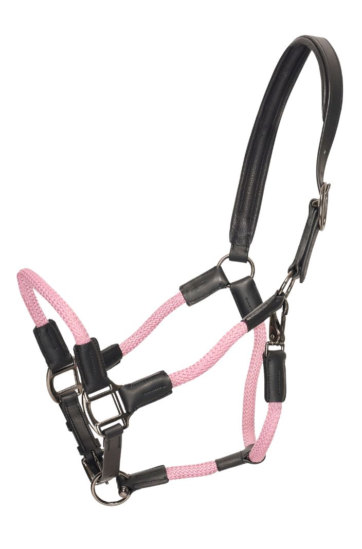 hv-polo-pferde-lederhalfter-seilhalfter-hvpfranka-pretty-pink