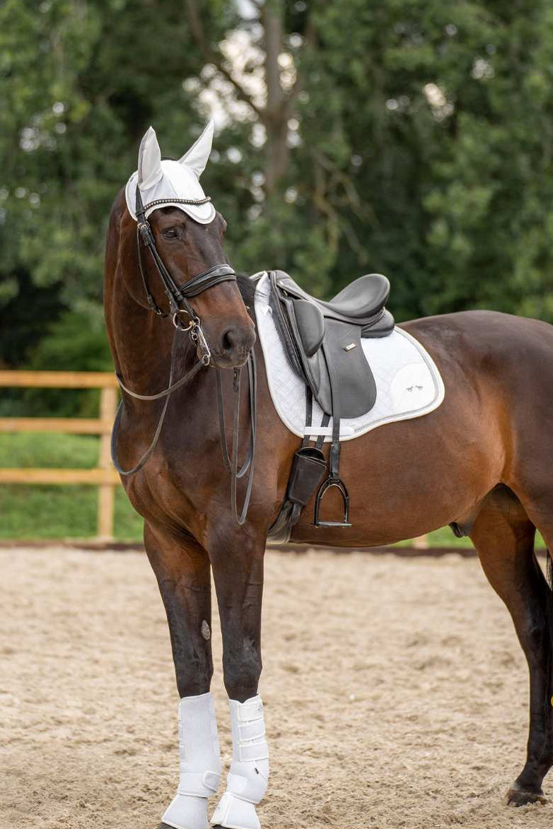 Pferde Springschabracke "Skye" von HV POLO in der Farbe Weiß mit der Artikelnummer 0801093504-0001. Diese Springschabracke wurde speziell entwickelt, um Ihrem Pferd während des Springreitens einen eleganten und komfortablen Sitz zu bieten. Sie können diese Pferde Springschabracke auf der Website www.hotti24.de erwerben