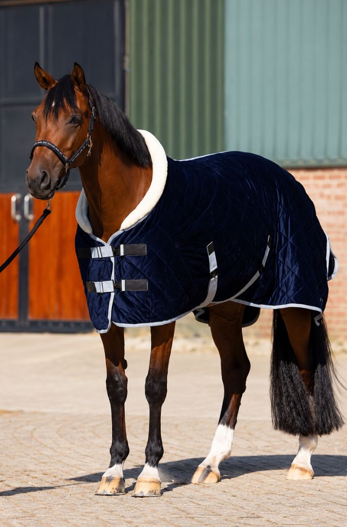 HV Polo Stable Rug HVPSacha Navy