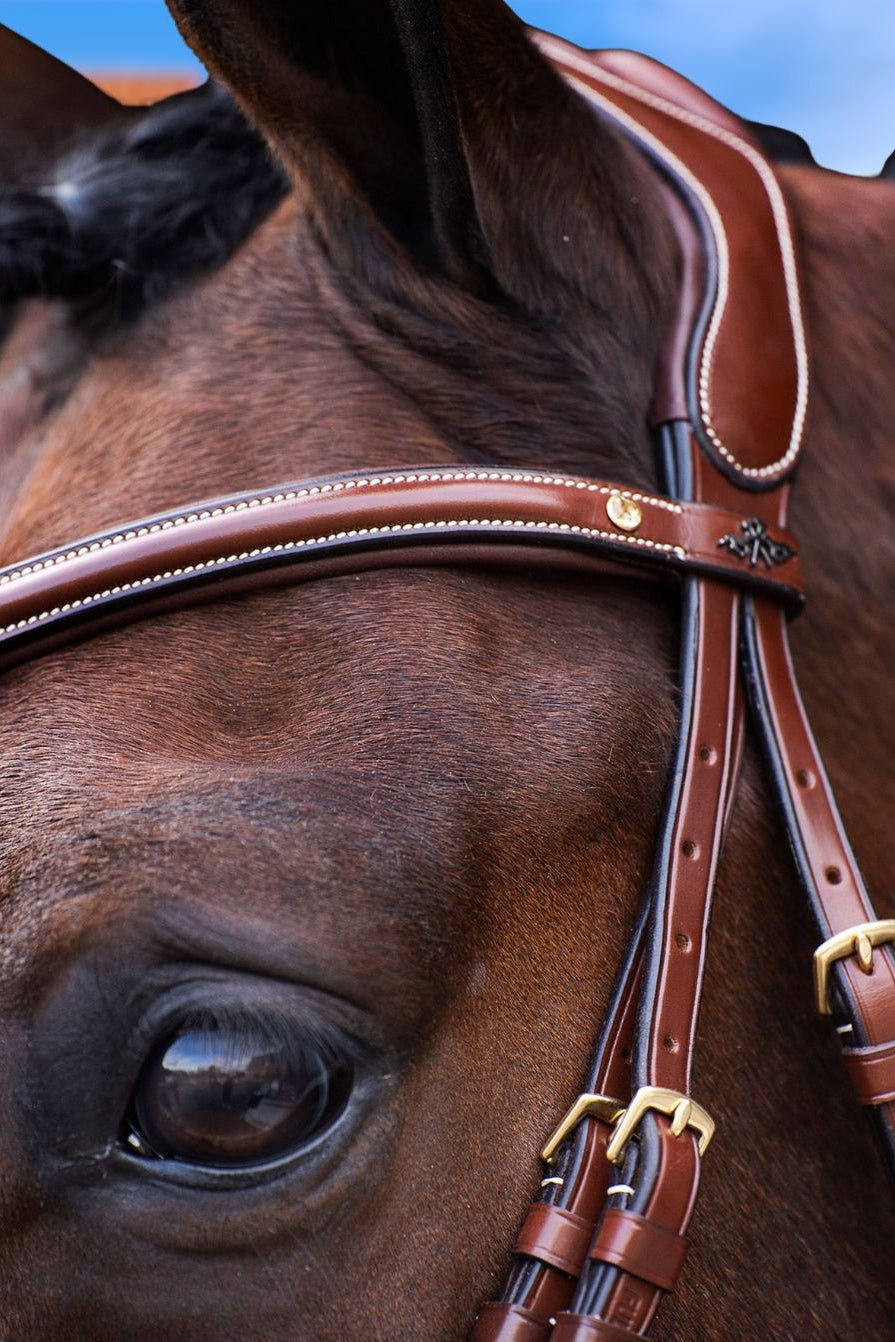 HV Polo Trense HVPLegacy Braun