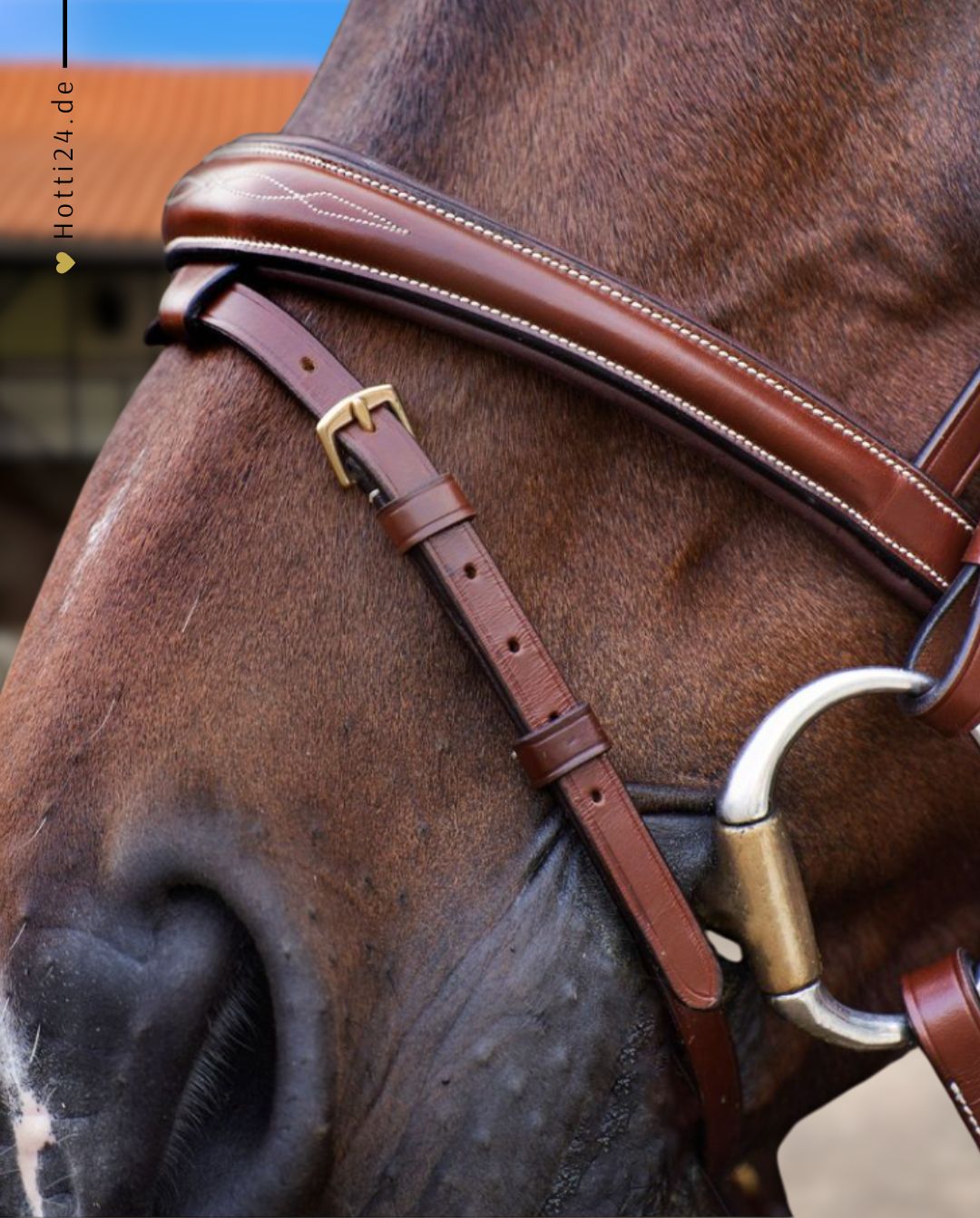 HV POLO »Trense HVPLegacy Brown