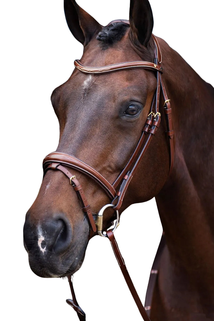 HV Polo Trense HVPLegacy Braun