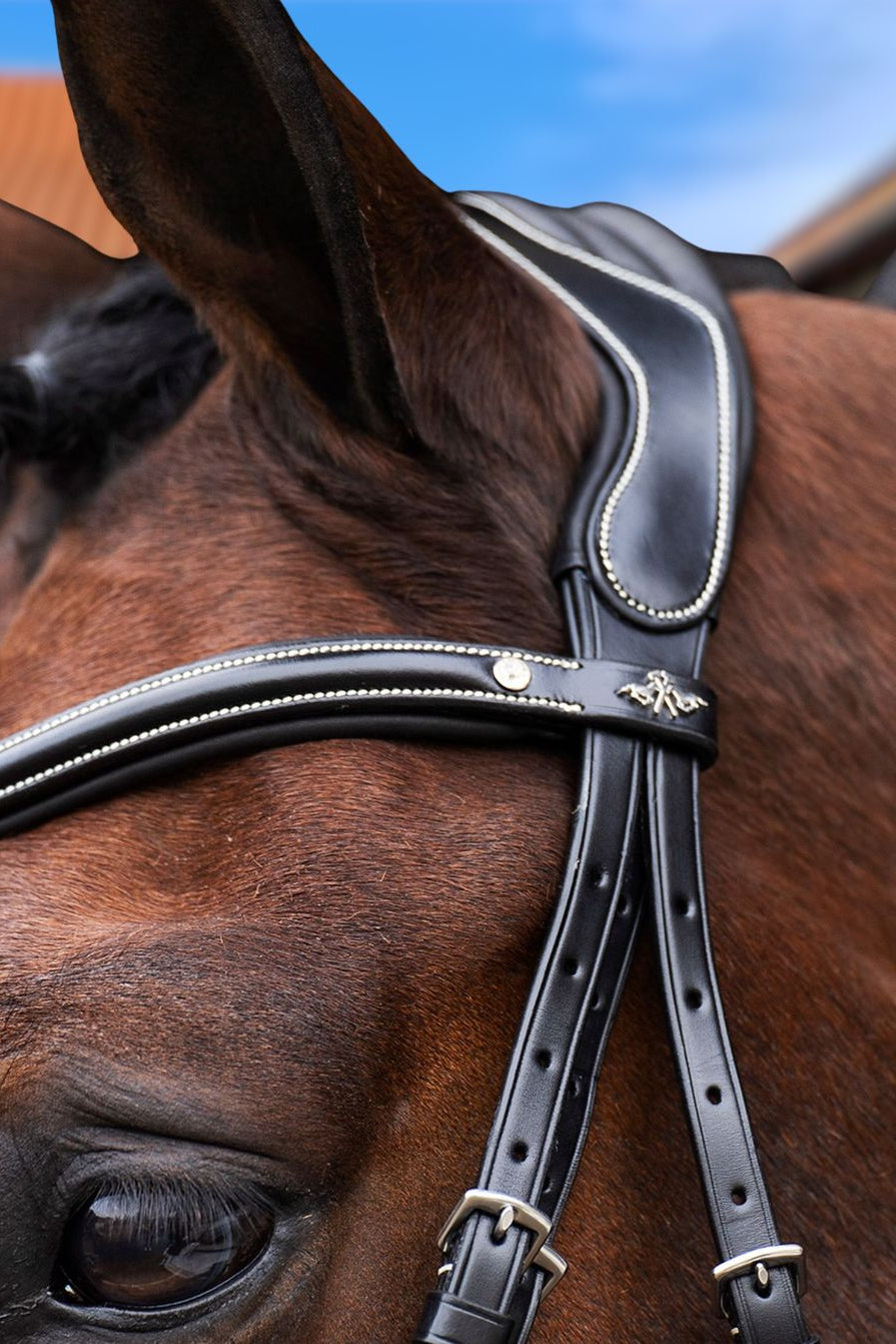 HV POLO »Bridle HVPLegacy Black