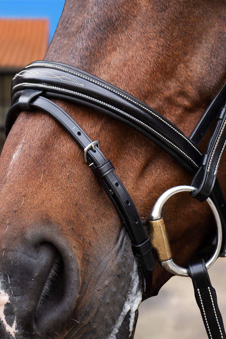 HV POLO »Bridle HVPLegacy Black