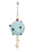 HV Polo Pferdeball HVPVolley Powder Blue Pferdespielzeug