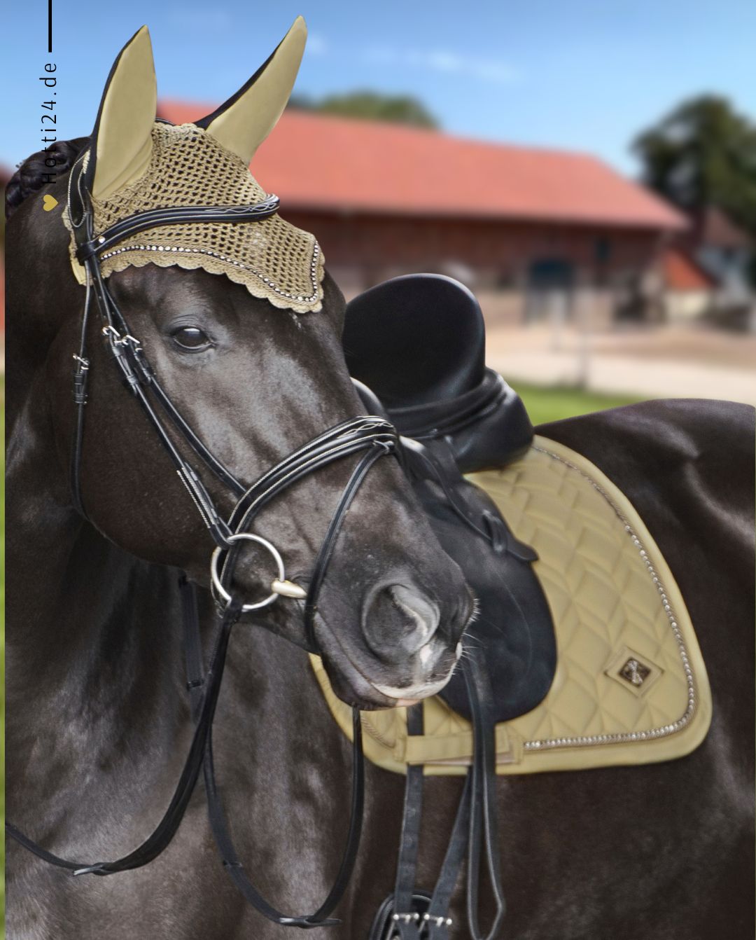 HV POLO »Springschabracke HVPClassic Oil Green