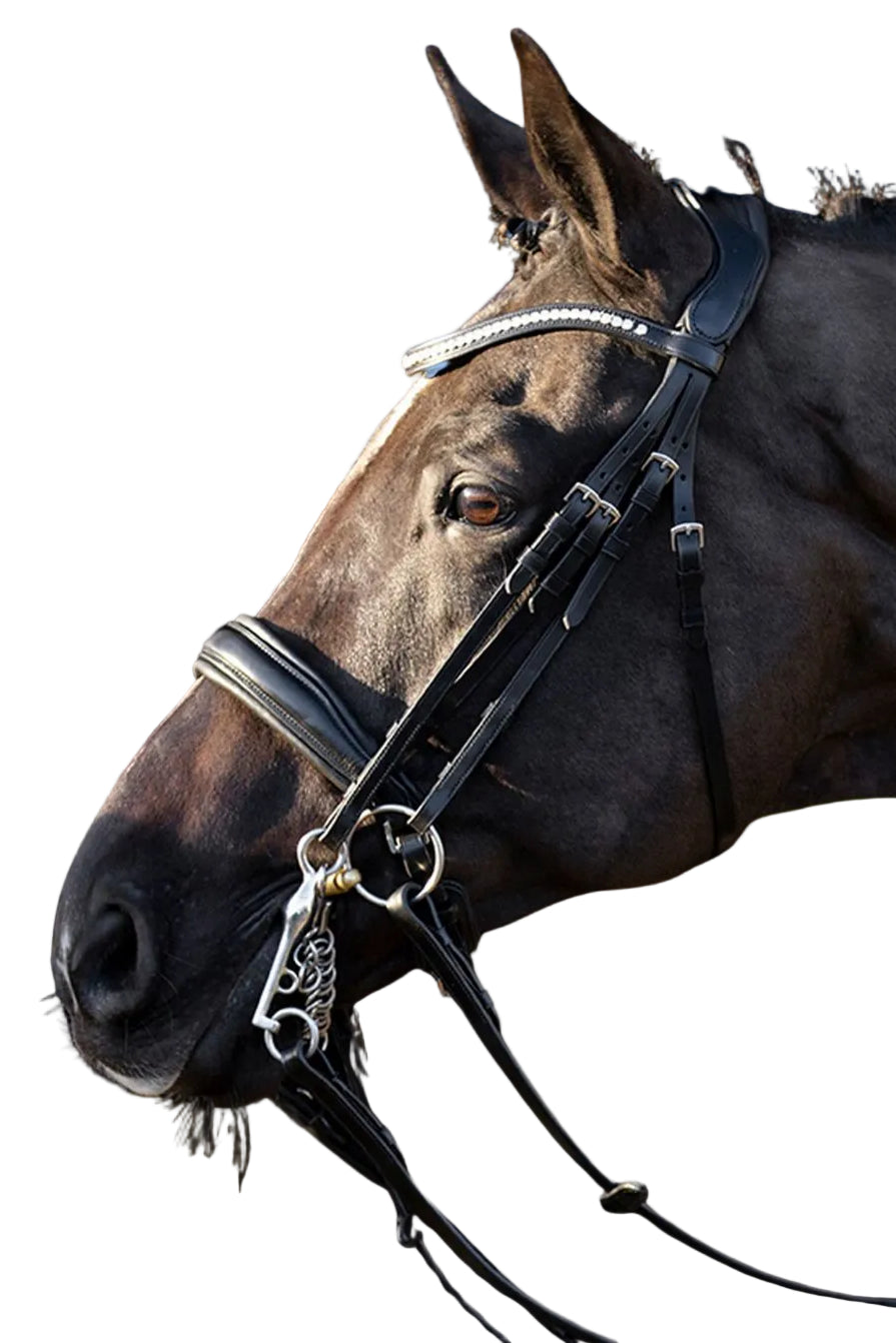 HV Polo Kandare HVPLegacy de Luxe Schwarz