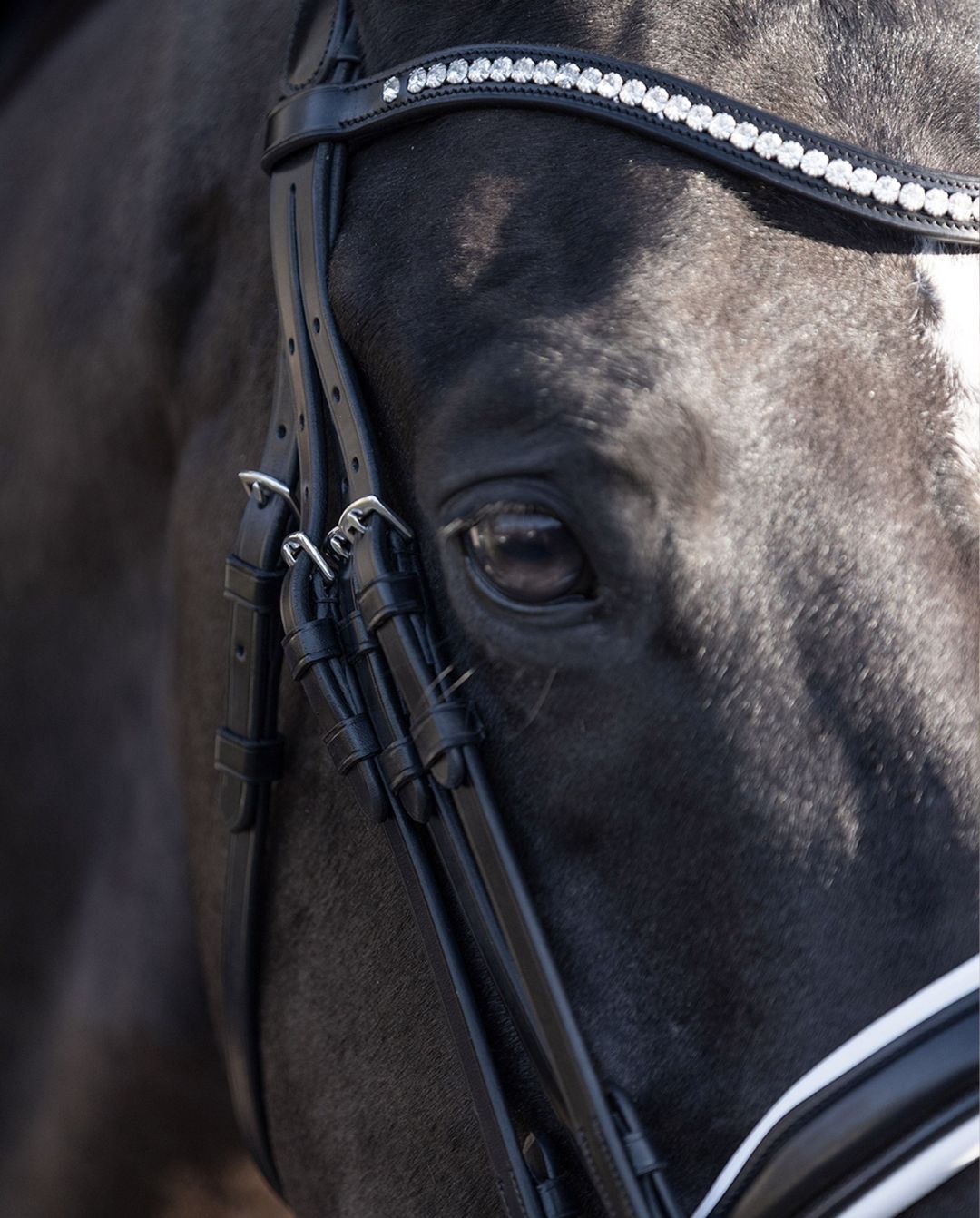 HV POLO »Kandare HVPLegacy de Luxe Black/White