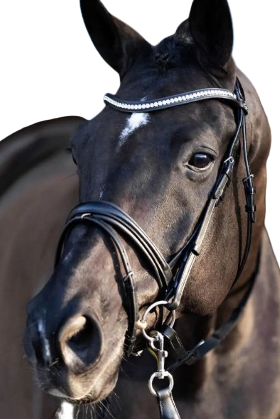 HV Polo Trense HVPLegacy Deluxe Schwarz