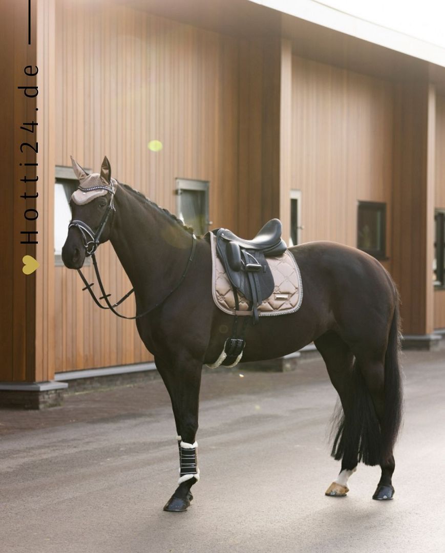 Imperial Riding präsentiert die Dressurschabracke IRH Lovely in der Farbe Braun mit der Artikelnummer ZT78122000-8043. Diese Dressurschabracke vereint Stil und Funktionalität und eignet sich ideal für Dressuraktivitäten. Für weitere Informationen und die Möglichkeit zum Kauf besuchen Sie bitte die Website www.Hotti24.de