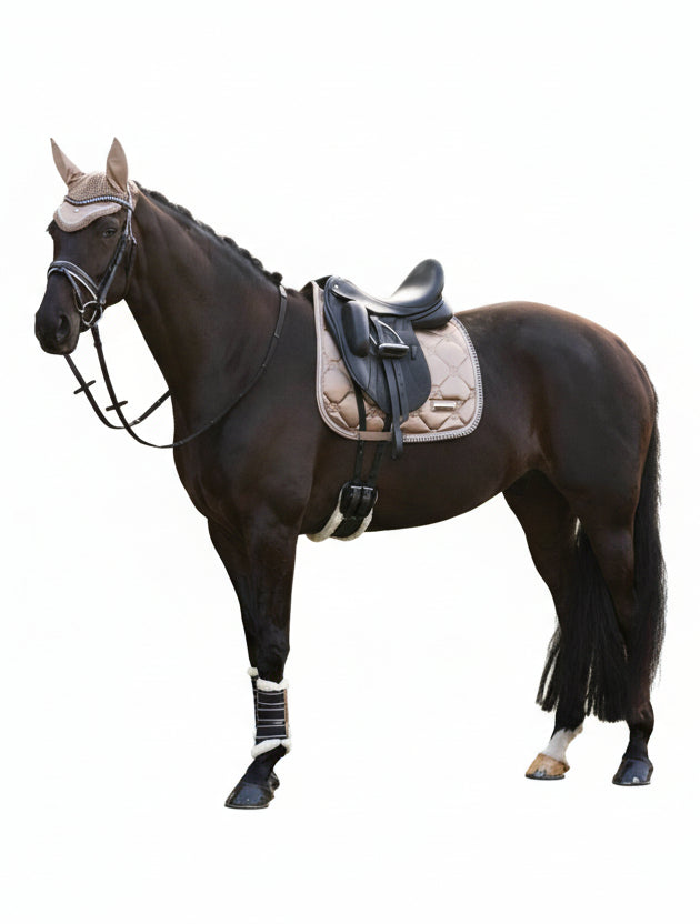 Imperial Riding präsentiert die Dressurschabracke IRH Lovely in der Farbe Braun mit der Artikelnummer ZT78122000-8043. Diese Dressurschabracke vereint Stil und Funktionalität und eignet sich ideal für Dressuraktivitäten. Für weitere Informationen und die Möglichkeit zum Kauf besuchen Sie bitte die Website www.Hotti24.de
