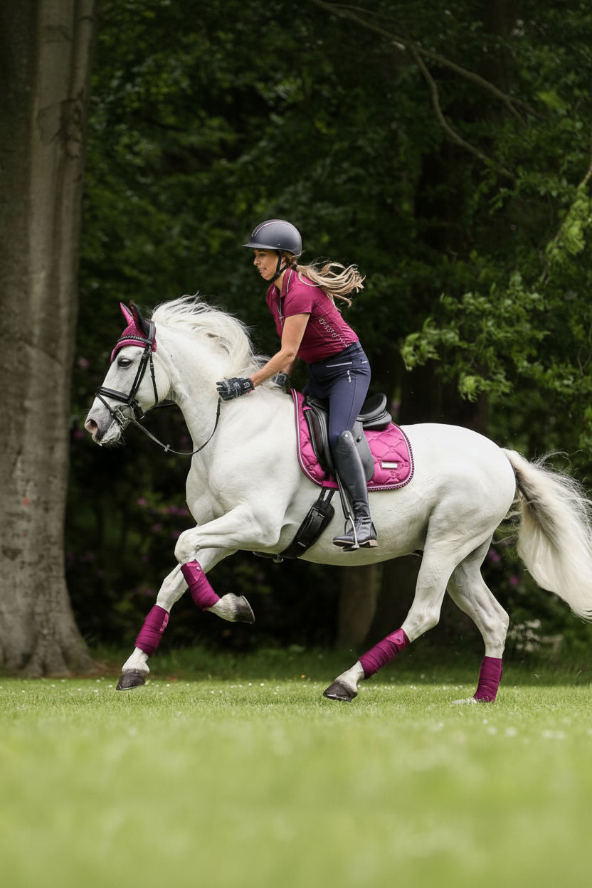 Imperial Riding präsentiert die Dressurschabracke IRH Lovely in der Farbkombination Dark Flower/Pink mit der Artikelnummer ZT78122000-3156. Diese Dressurschabracke vereint Stil und Funktionalität und ist ideal für Dressuraktivitäten. Für weitere Informationen und die Möglichkeit zum Kauf besuchen Sie bitte die Website www.Hotti24.de