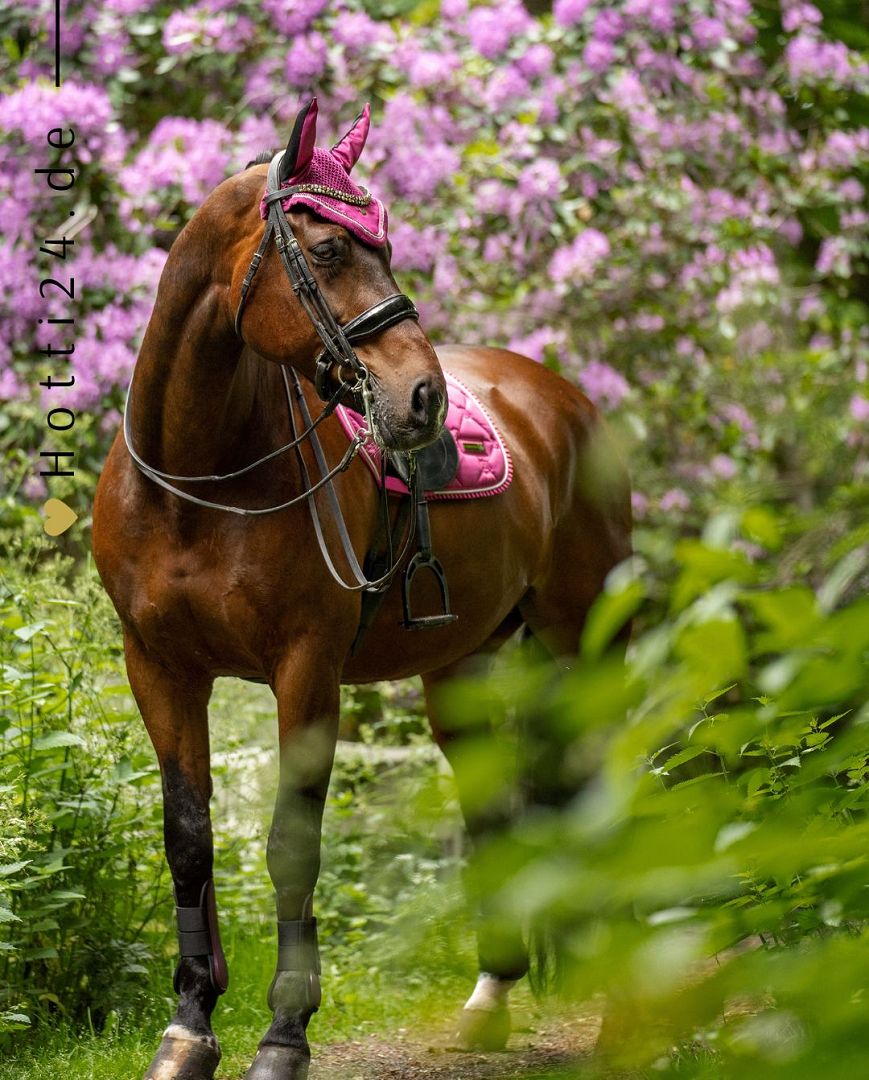 Imperial Riding präsentiert die Dressurschabracke IRH Lovely in der Farbkombination Dark Flower/Pink mit der Artikelnummer ZT78122000-3156. Diese Dressurschabracke vereint Stil und Funktionalität und ist ideal für Dressuraktivitäten. Für weitere Informationen und die Möglichkeit zum Kauf besuchen Sie bitte die Website www.Hotti24.de